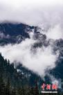 5月28日，一场夜雨过后的西藏林芝南伊沟内，群山在云雾缭绕中，宛如一幅美丽的水墨画卷。中新社记者 何蓬磊 摄