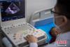 医疗专家为患儿做心脏彩超检查。中新社记者 何蓬磊 摄