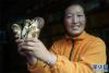 鲁朗镇的藏族妇女美郎央金在展示采摘的新鲜松茸(8月2日摄)。新华社记者 普布扎西 摄