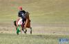改则县改则镇日玛村的一名骑手在草原上表演跑马(8月6日摄)。新华社记者 张汝锋 摄