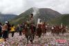 图为藏族民众骑马祭祀嘎多觉吾神山 。 中新社记者 罗云鹏 摄