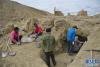工作人员在皮央东嘎墓葬遗址发掘清理（7月18日摄）。