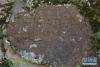 这是在青海省门源县东川镇麻当村附近岩壁上发现的摩崖石刻藏经（8月18日摄）。 新华社发（董连生 摄）