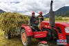 　林芝市巴宜区鲁朗镇农牧民驾驶拖拉机转运牧草（8月26日摄）。