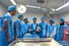 中华护理学会手术室专业委员会的专家与拉萨市达孜区人民医院手术室医护人员进行交流（8月25日摄）。 新华社记者 晋美多吉 摄