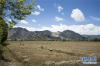 9月13日，拉萨市曲水县农民在收割小麦。 入秋以来，西藏拉萨各地农作物陆续成熟，农民抢抓农时收割，田间一片繁忙景象。 新华社记者 张帆 摄