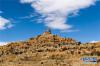 西藏阿里地区札达县霞义沟土林一角（9月14日摄）。