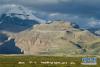 在西藏阿里地区冈仁波齐峰脚下的国家一级保护动物藏野驴（9月11日摄）。 