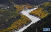 　10月20日拍摄的米林县堰塞湖自然过流后的雅鲁藏布江达林村段。新华社记者 普布扎西摄