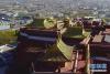 修缮后的布达拉宫金顶群(11月7日无人机拍摄)。新华社记者普布扎西 摄