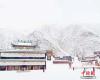 11月7日，被誉为“世界藏学府”的拉卜楞寺在白雪覆盖下庄严宁静。魏春晓 摄