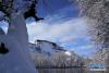 12月19日拍摄的雪后的布达拉宫。 12月18日，西藏拉萨市迎来今年入冬以来的首场降雪。19日清晨，拉萨雪后初霁，处处银装素裹，尽显雪域高原之美。 新华社记者普布扎西摄