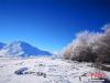 近日，西藏迎来大面积降雪，雪后初霁，拉萨一片银装素裹，难得一见的雾凇奇观也出现雅鲁藏布江河谷。万里无云，鸥鸟齐鸣，江面水汽蒸腾，树上雾凇缓缓飘落。赵朗 摄