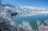 西藏的冬天，天空比任何时候都湛蓝、湖水比任何时候都更加清澈、雪山比任何时候都更加耀眼。何蓬磊 摄