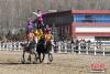 2月7日是藏历新年正月初三，拉萨北郊赛马场上演了一场传统马术表演，为新年锦上添花。现场，骑手为观众展示了“马上射箭”“马上拾哈达”“马上敬酒”等十多个传统马术项目。何蓬磊 摄