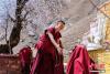 4月18日，帕邦喀的僧人在古桃花树下辩经。帕邦喀是西藏自治区拉萨市北郊娘热乡的一处寺院建筑，始建于公元七世纪松赞干布时期，距今已有1300多年的历史，是藏文字的创始地。因海拔较高，帕邦喀桃花近日迎来盛花期。中新社记者 何蓬磊 摄