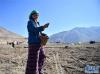 4月26日，日喀则市聂拉木县岗嘎村村民在播种青稞。新华社记者 晋美多吉 摄