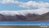 这是羊卓雍错美景（5月24日摄）。 羊卓雍错位于西藏山南市浪卡子县境内，与纳木错、玛旁雍错并称西藏三大“圣湖”。初夏的羊卓雍错秀美如画，尽显高原湖泊的纯净与壮阔。 新华社记者 普布扎西 摄