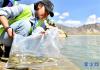 6月6日，志愿者在鱼类增殖放流活动现场投放鱼苗。新华社记者 李鑫 摄