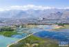 被誉为“拉萨之肺”的拉鲁湿地（6月5日无人机拍摄）。新华社记者 普布扎西 摄