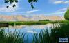 6月26日拍摄的拉鲁湿地一景。新华社记者 张汝锋 摄