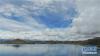 羊卓雍错的湖水，蔚蓝如玉（7月22日无人机拍摄）。