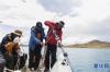 科考队员在投放重力钻，准备钻取湖泊沉积岩芯（7月22日摄）。新华社记者 晋美多吉 摄
