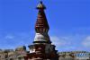 7月24日在西藏阿里地区札达县拍摄的土佛塔。 新华社记者 觉果 摄