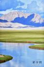 这是西藏阿里狮泉河流域的草原（7月29日摄）。新华社记者 觉果 摄