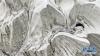 拉布拉冰川局部（8月4日无人机拍摄）。 新华社记者 晋美多吉 摄