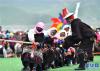 8月9日，西藏当雄县举行竞争激烈的民间传统拔河比赛。新华社记者 李鑫 摄