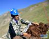 8月10日，在青海省玉树藏族自治州治多县加吉博洛镇境内的一处海拔4400余米的电网建设工地上，工人索朗叶西在清理基坑中的土。新华社记者 张龙 摄