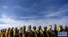 在西藏那曲市赛马节上拍摄的戴“天线帽”的西藏安多妇女（8月10日摄）。新华社记者 觉果 摄