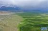 这是西藏当雄县境内的草原（8月9日无人机拍摄）。新华社记者 普布扎西 摄
