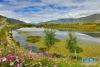 9月14日拍摄的金色池塘生态景区一景。 初秋时节，西藏拉萨市达孜区塔杰乡巴嘎雪村金色池塘生态景区景色怡人。 新华社记者 张汝锋 摄
