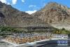西藏山南市洛扎县洛扎镇新建成的次麦社区边境小康村（9月21日无人机拍摄）。 