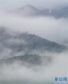 这是墨脱县云海景观（10月26日摄）。新华社记者 田金文 摄