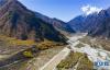 这是10月28日拍摄的西藏林芝市境内的尼洋河（无人机拍摄）。 新华社记者 普布扎西 摄