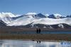游人在西藏纳木错湖边赏景（10月28日摄）。 新华社记者 陈天湖 摄