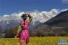 身着藏式服装的游客来到油菜花田，远眺初露峰顶的南迦巴瓦峰（11月27日摄）。新华社记者 侯捷 摄