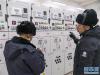 12月24日，工作人员在双湖县110千伏变电站检查设备运行状态。新华社记者 侯捷 摄