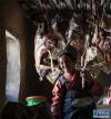 格桑从储藏室取出准备食用的羊腿肉（1月20日摄）。新华社记者 孙非 摄