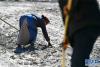  山南市乃东区泽当镇金鲁社区的居民在清除农田里的碎石块（1月27日摄）。新华社记者 张汝锋 摄