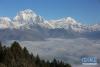 这是2月15日在尼泊尔苗地县的普恩山拍摄的周围的丛林、云海和雪山。  新华社记者 周盛平 摄