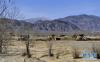 3月1日，在西藏日喀则市桑珠孜区曲美乡那塘村，机械设备在高标准农田项目施工现场作业。 
