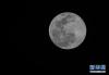 这是在拉萨市内拍摄到的满月（3月10日摄）。