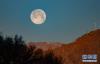 这是在拉萨市内拍摄到的满月（3月10日摄）。