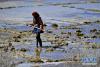 日喀则市谢通门县雅鲁藏布江畔的农民引水浇灌农田，备播青稞（3月8日摄）。新华社记者 张汝锋 摄