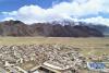 这是西藏拉萨堆龙德庆区德庆镇德庆村（3月4日摄，无人机照片）。新华社记者 孙非 摄