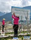 3月22日，工作人员在示范园里对苹果树进行春季管理。新华社记者 张汝锋 摄
